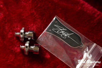 Inspired by Gibson Slash Les Paul Standard - November Burst